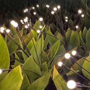 Lâmpada Solar LED para Jardim - 6/8/10 Luzes - Akada Brasil
